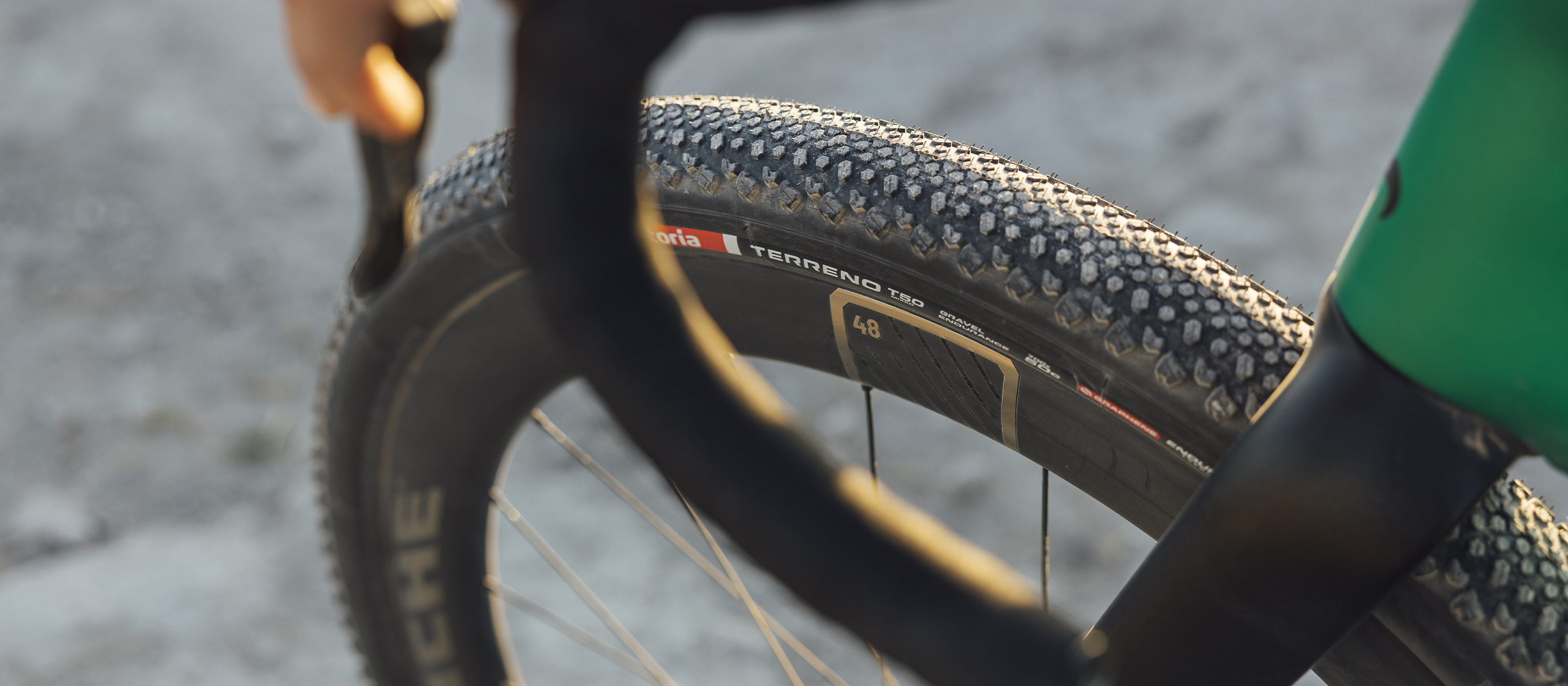 gallery_color_image1