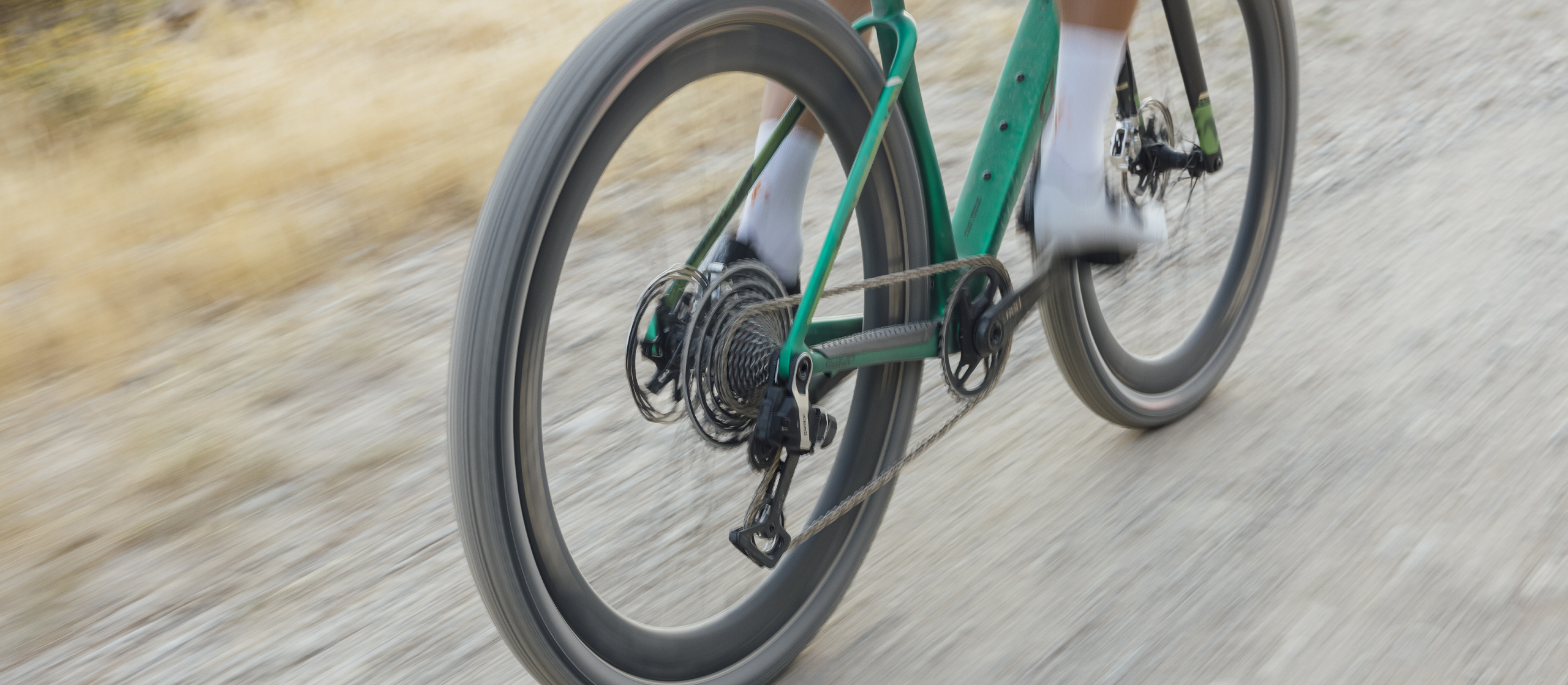 gallery_color_image2