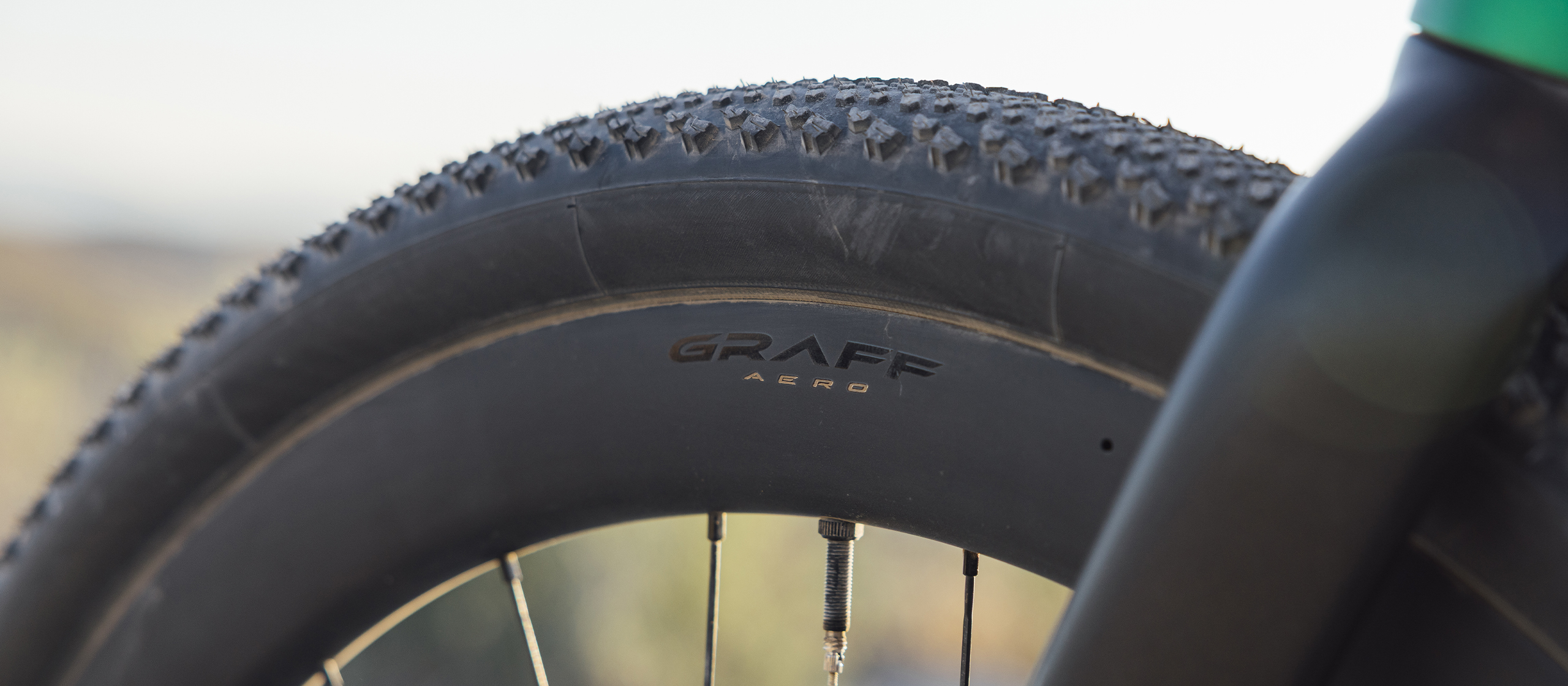 gallery_color_image4