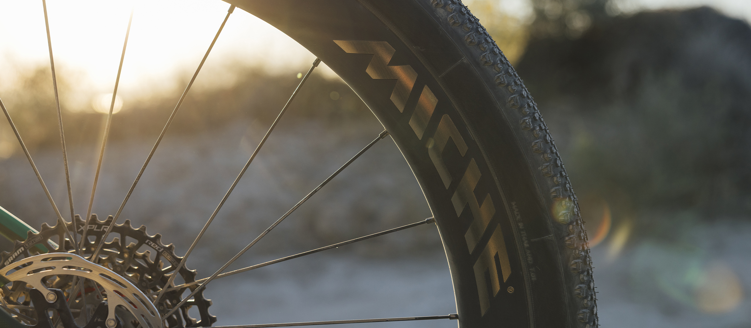 gallery_color_image3